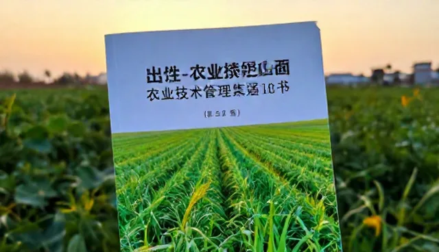 为什么农产品在仓储中容易变质？